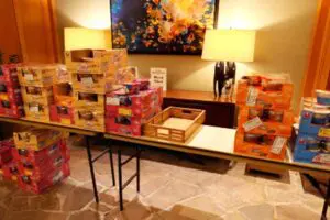 sirabee20250731akino2