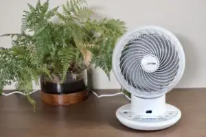 “エアコン付けるほどでもない”ときはコレ　アイリスオーヤマのサーキュレーターが快適すぎた