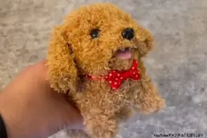 「まるで本物」と広告で流れる犬のおもちゃ　実際には…「騙された」「ゴミが送られてきた」と怒りの声