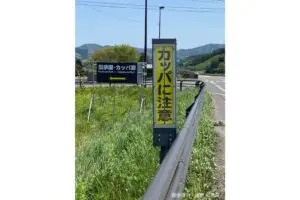 sirabee20250801tono2