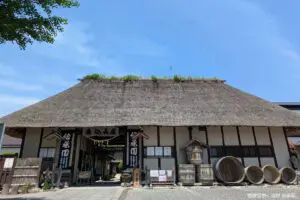 sirabee20250801tono3