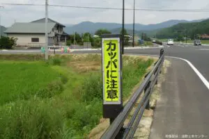 sirabee20250801tono7