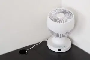 sirabee20250804circulator3