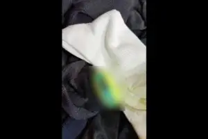 古着の回収に“とんでもないもの”が混入…　「絶対に出さないでください」厳しく注意喚起