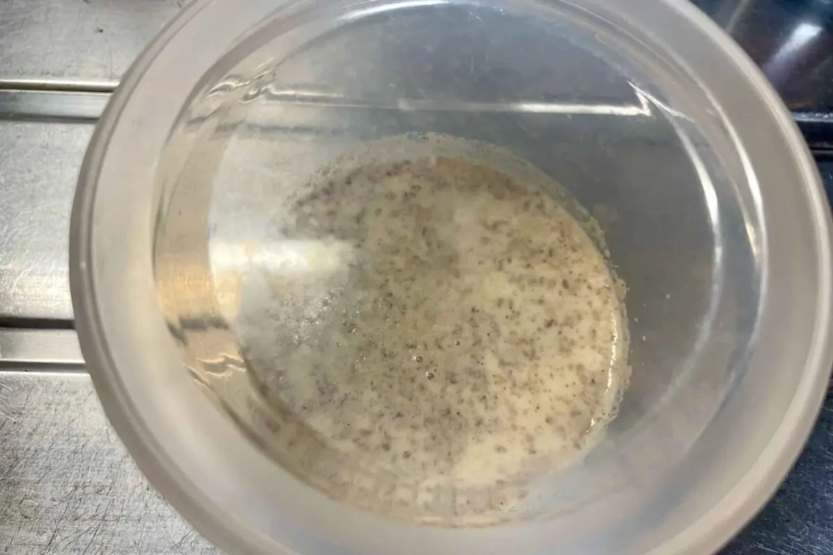 sirabee20250804soymilk3