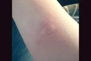 sirabee20250805kintaro