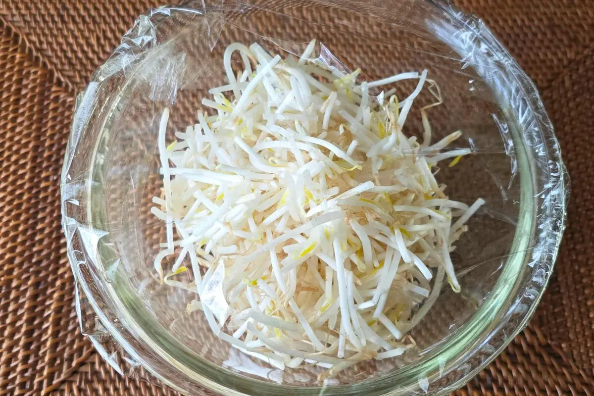 sirabee20250807moyashi2