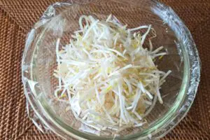 sirabee20250807moyashi2