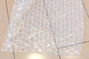 sirabee20250807puchipuchi