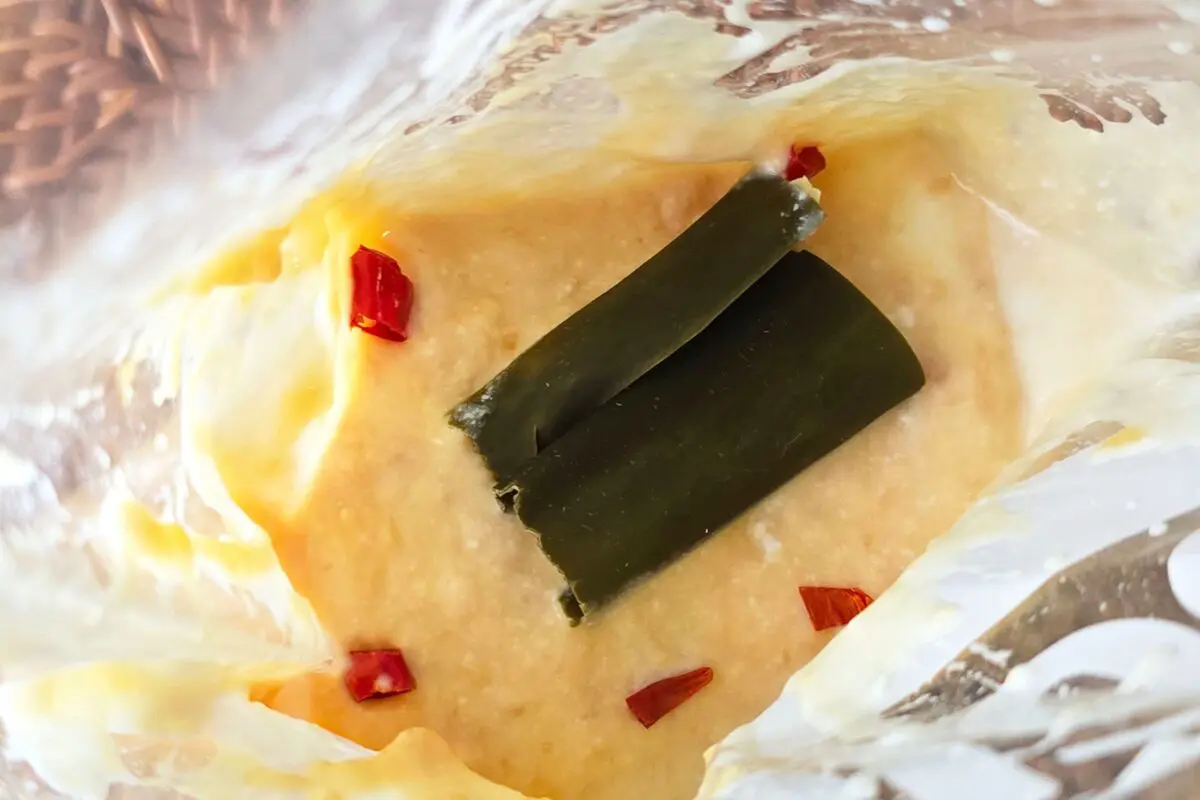 sirabee20250807yoghourt5