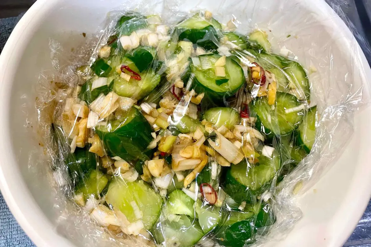 sirabee20250811cucumber10