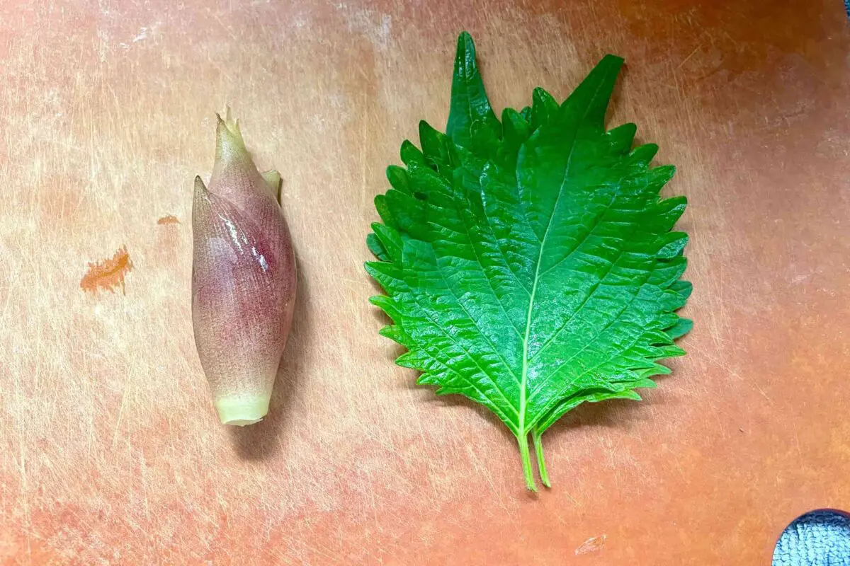 sirabee20250813pasta1