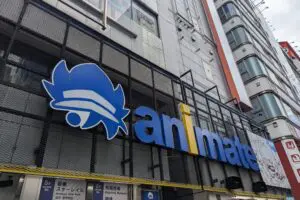 ベイブレードとアニメイトが異例のコラボ　その「本気度」に震えた