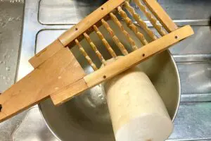 sirabee20250814eggplant3