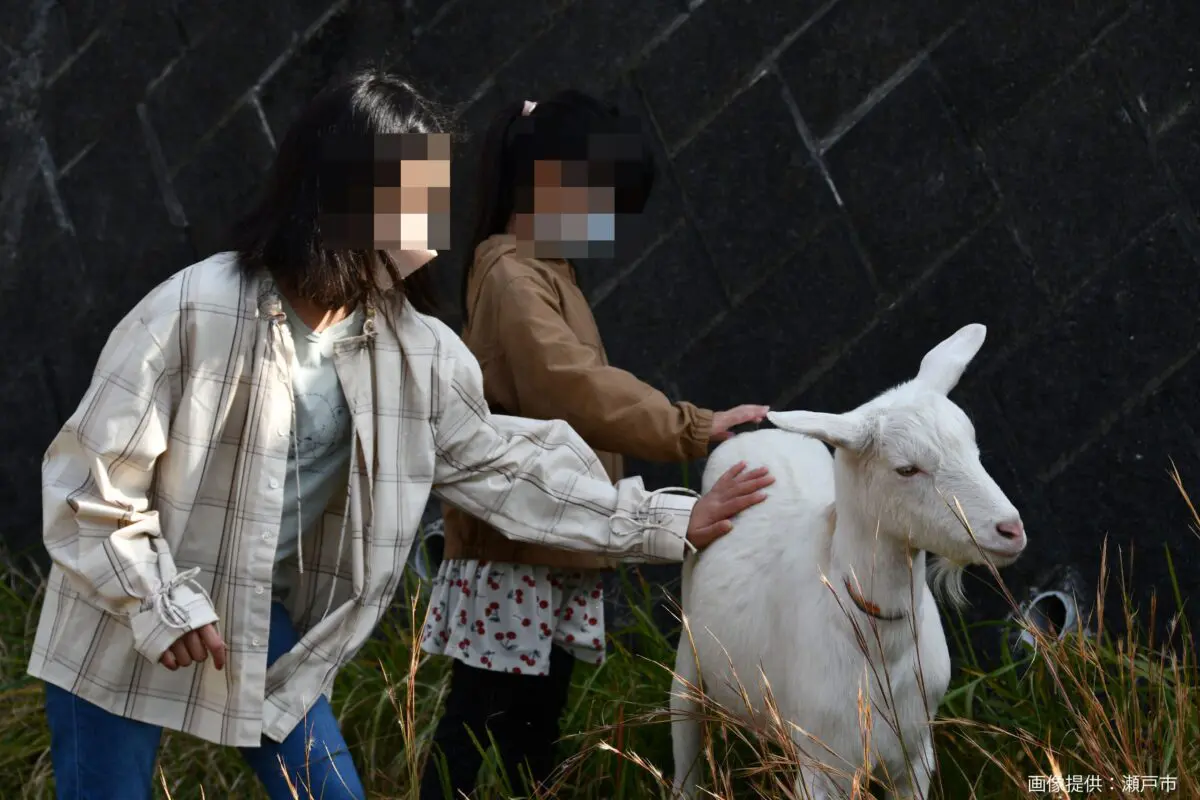 sirabee20250818animal2a