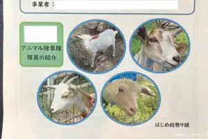 一見普通の回覧板、目を疑う7文字にギョッとするも…　その正体が「頼もしすぎる」と話題