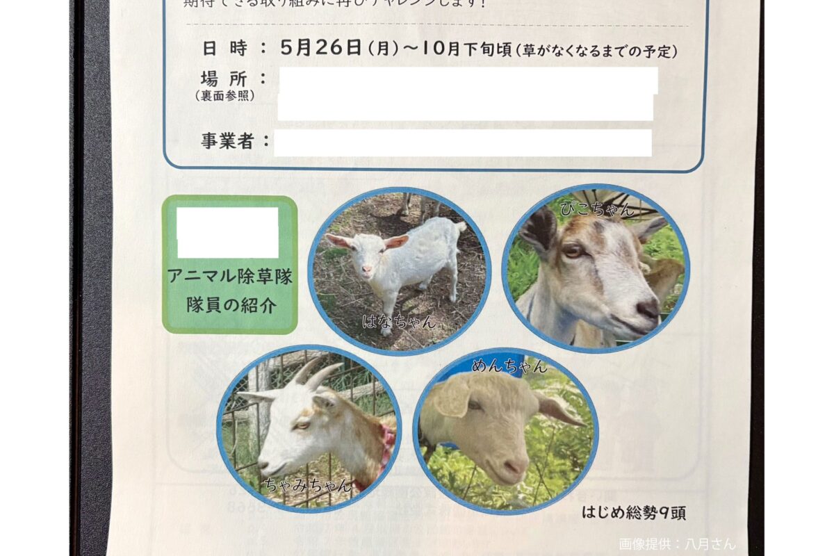 アニマル除草隊