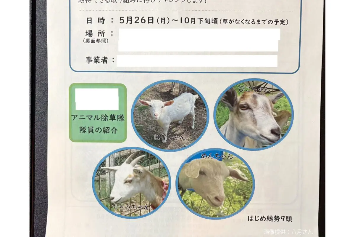 sirabee20250818animal7