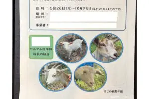 sirabee20250818animal7