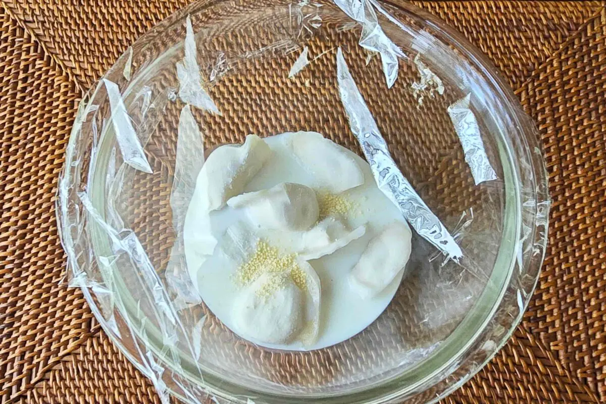 sirabee20250818gyoza2