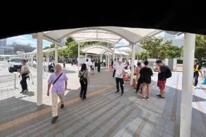 sirabee20250818seouhigasa_sanko7