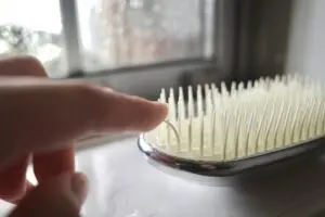 sirabee20250820fefa7