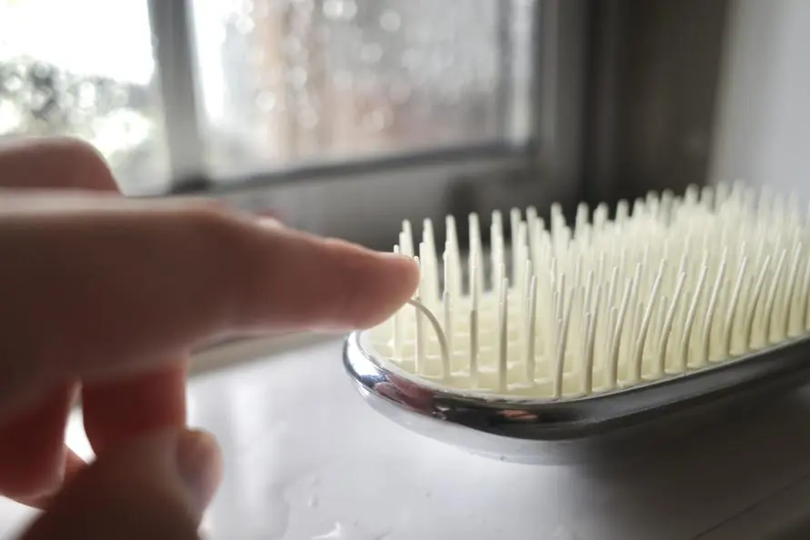 sirabee20250820fefa7