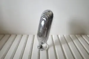 sirabee20250820fefa8