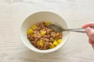 sirabee20250821aburaage3