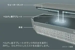 sirabee20250821lavino1