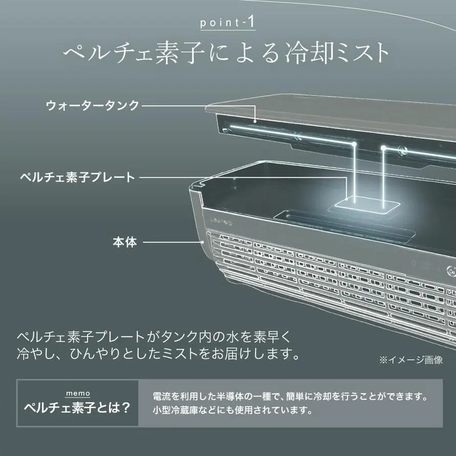 sirabee20250821lavino1