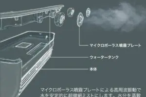 sirabee20250821lavino2