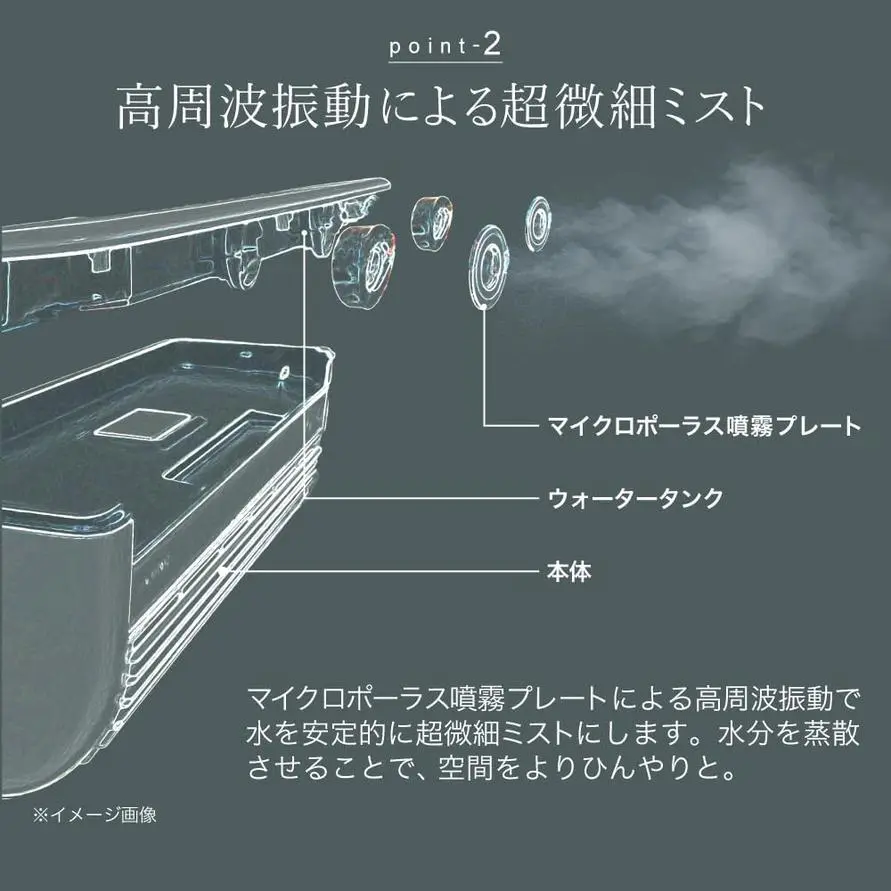 sirabee20250821lavino2