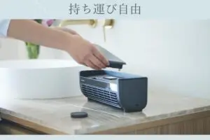 sirabee20250821lavino4