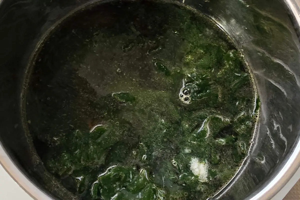 sirabee20250822wakame6