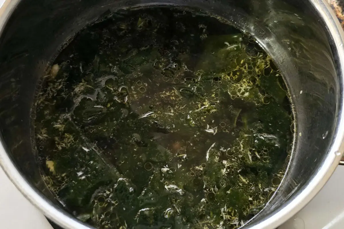 sirabee20250822wakame8