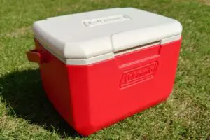 1,000円台でこの保冷力。コールマンの「小型クーラーボックス」が想像以上に使える
