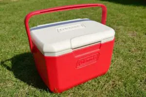 sirabee202508230coleman2