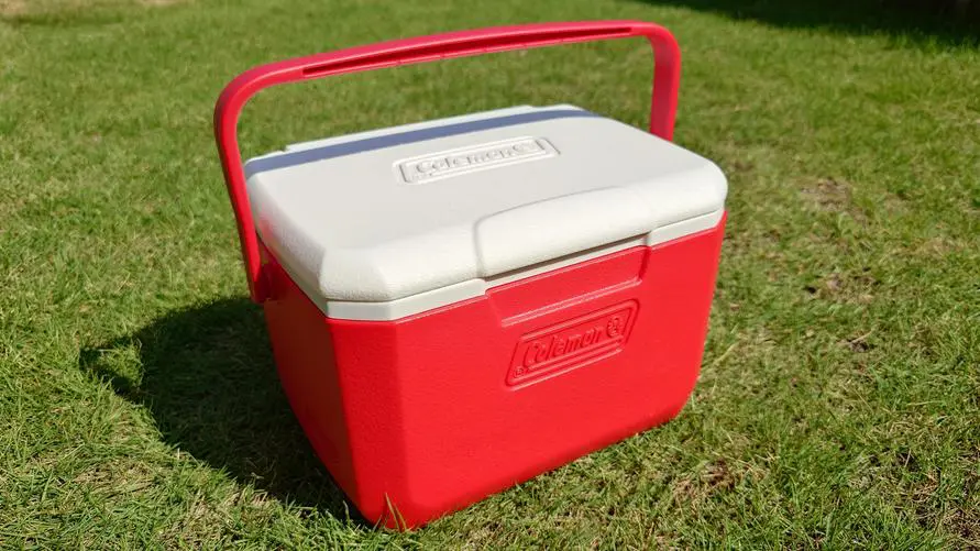 sirabee202508230coleman2