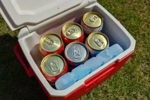 sirabee202508230coleman3