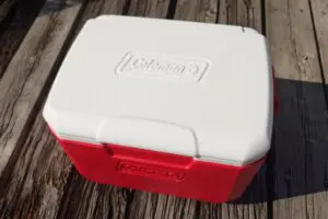 sirabee202508230coleman4