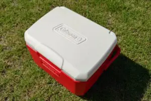 sirabee202508230coleman6