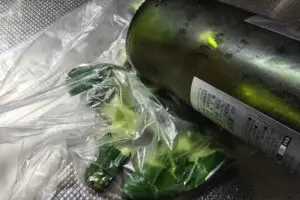 sirabee20250825kyuri3