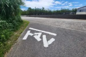 sirabee20250826tomato3