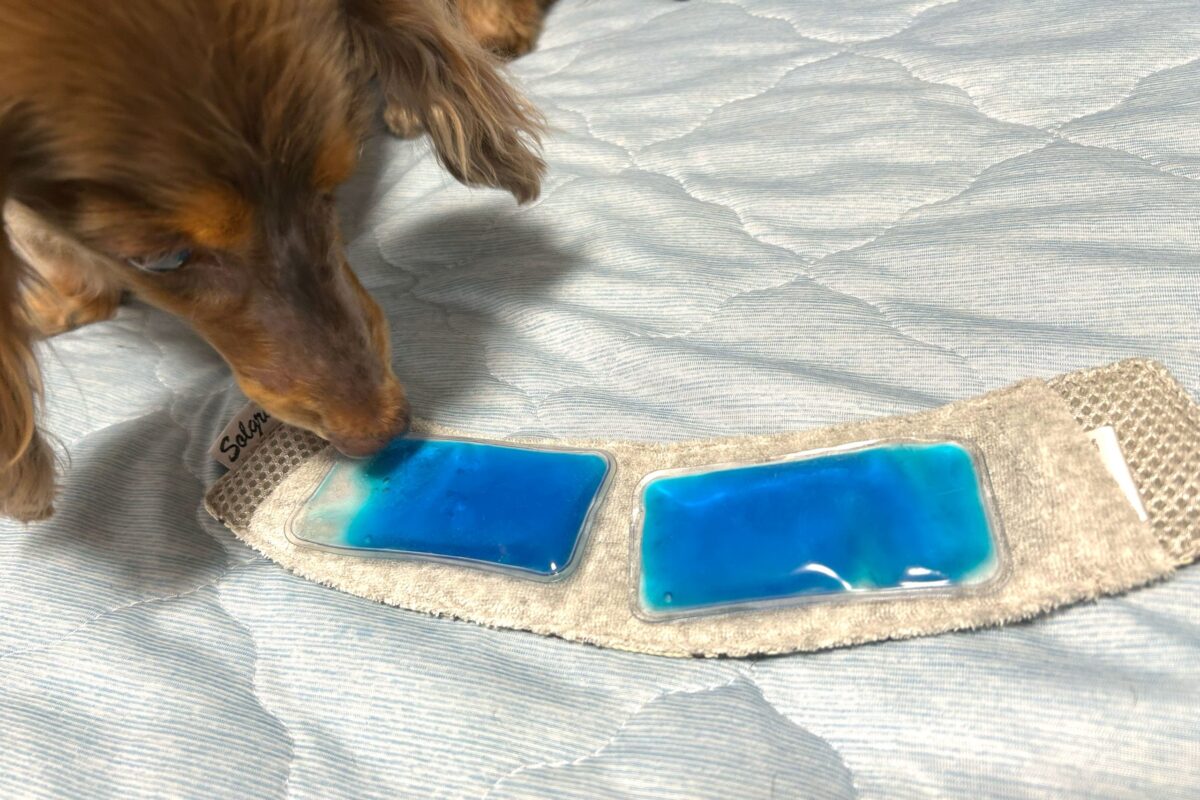 保冷剤ネックバンド