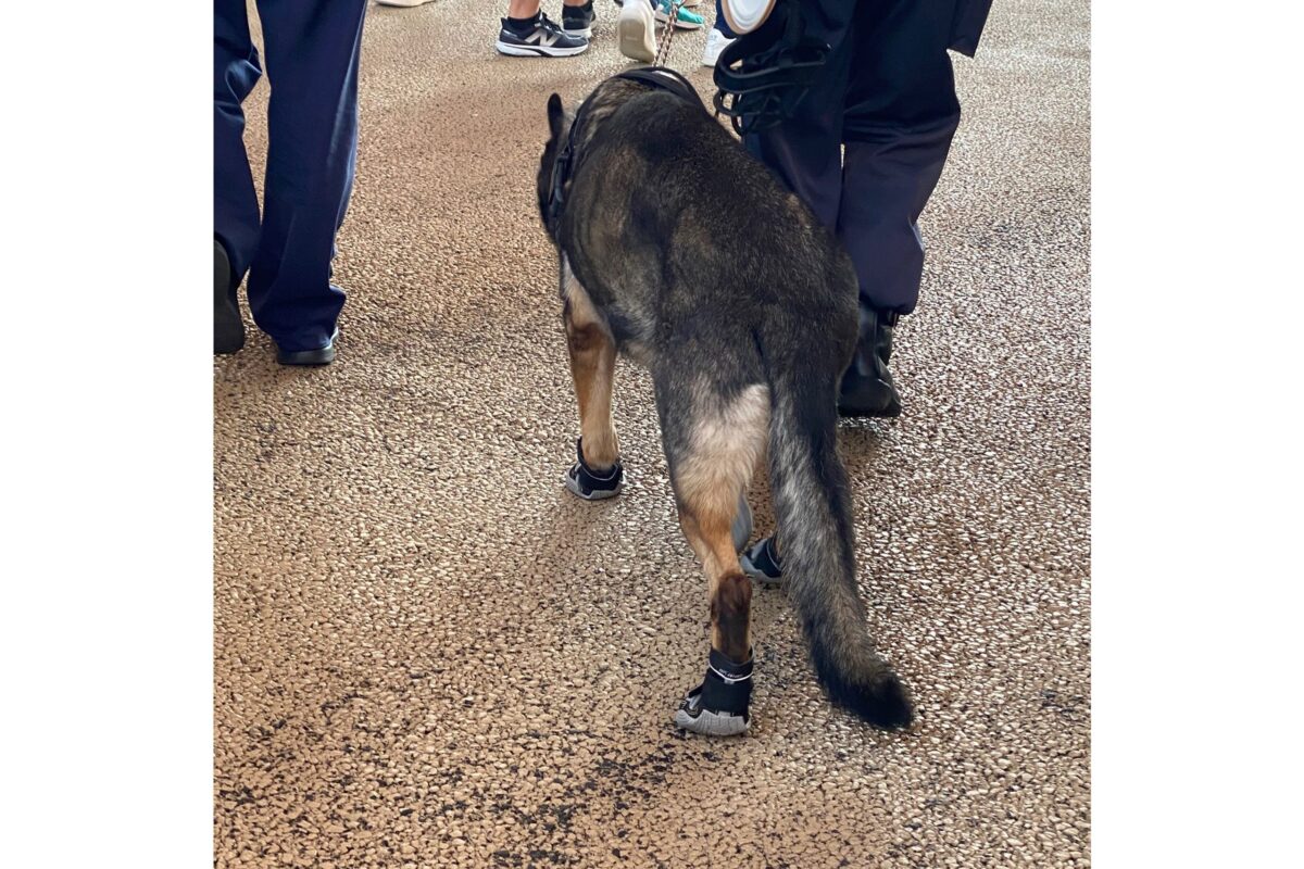 大阪万博の警備犬