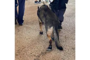 sirabee20250827osaka3