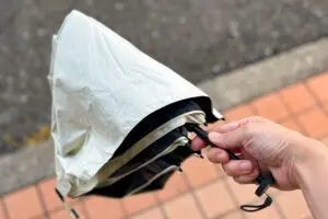 『ヒルナンデス』濡れた傘を収納できる“画期的アイテム”　やす子も「コレいい」