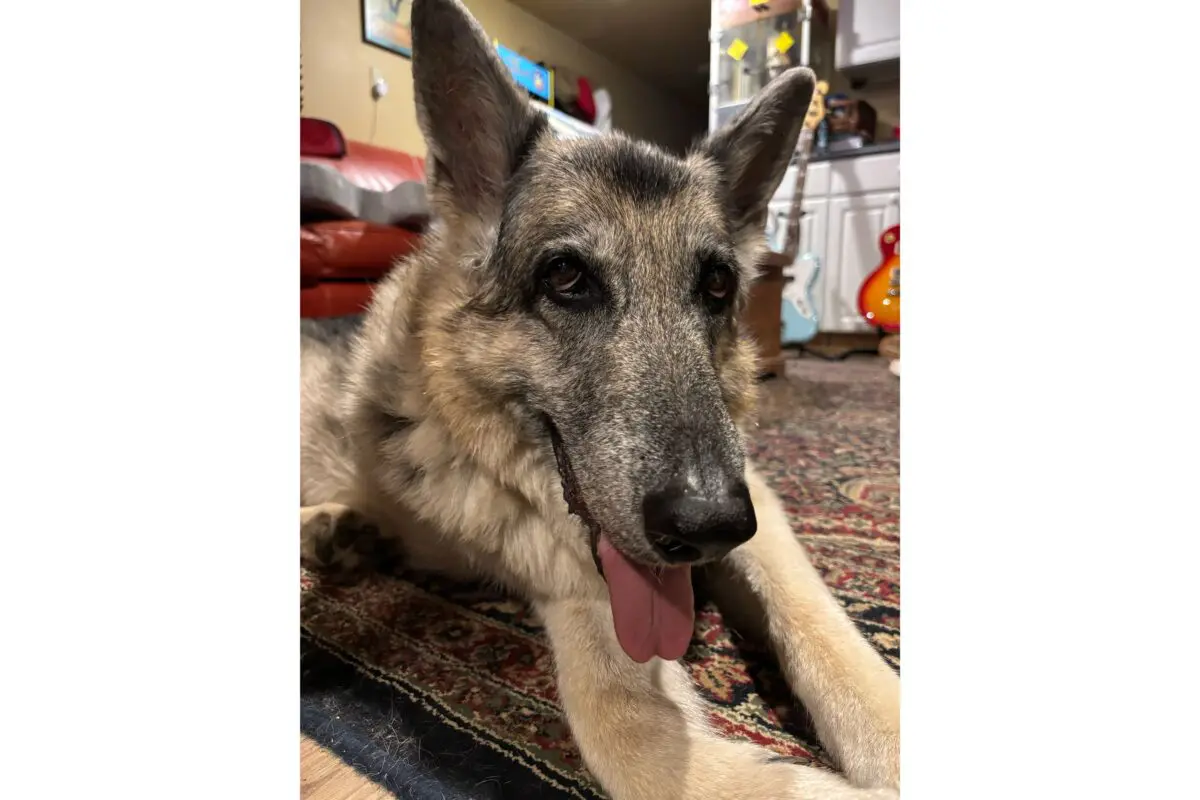 sirabee20250828millington4