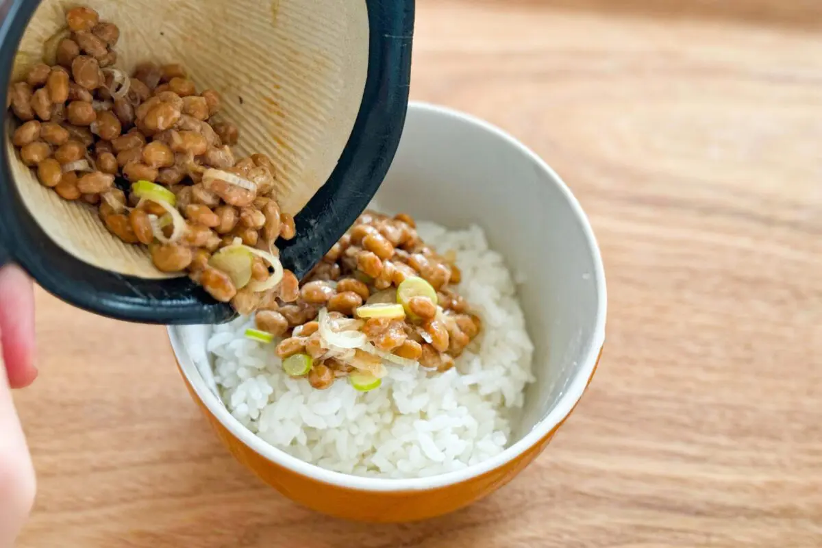 sirabee20250828natto6